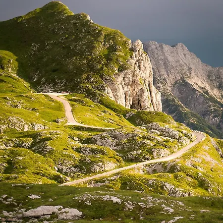 Kronotop In Triglav National Park *