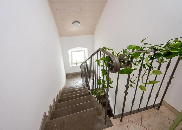 Kronotop In Triglav National Park Log pod Mangartom